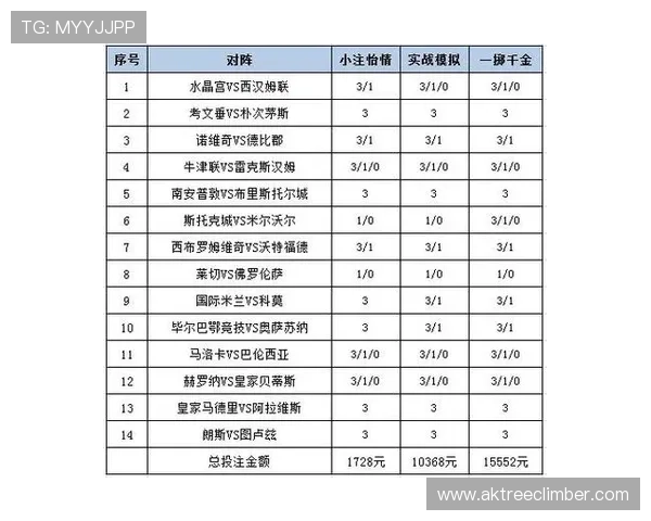爱游戏买球：全面解析热门体育赛事投注策略，提升你的赢球几率与投注技巧