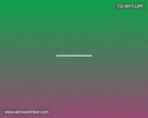世界杯捷克对阵墨西哥比赛场地容量详细介绍及相关赛事信息分析