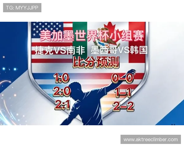 捷克对阵南非比赛指数分析与世界杯赛前预测指南