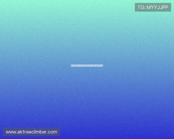 摩洛哥与巴西国家队交手历史及比赛结果统计分析